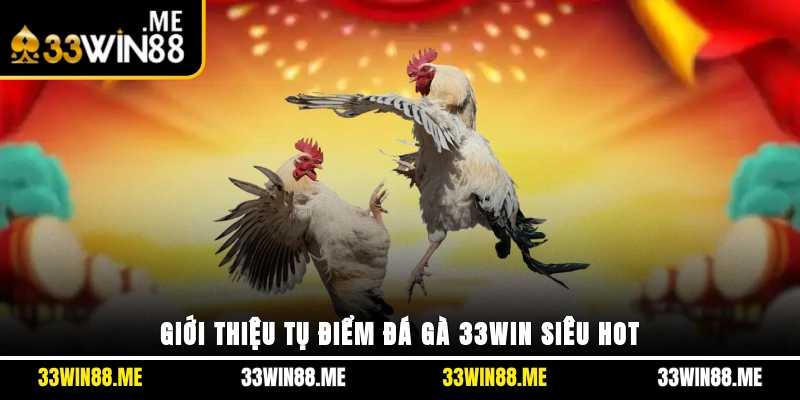 Giới thiệu tụ điểm đá gà 33WIN siêu hot
